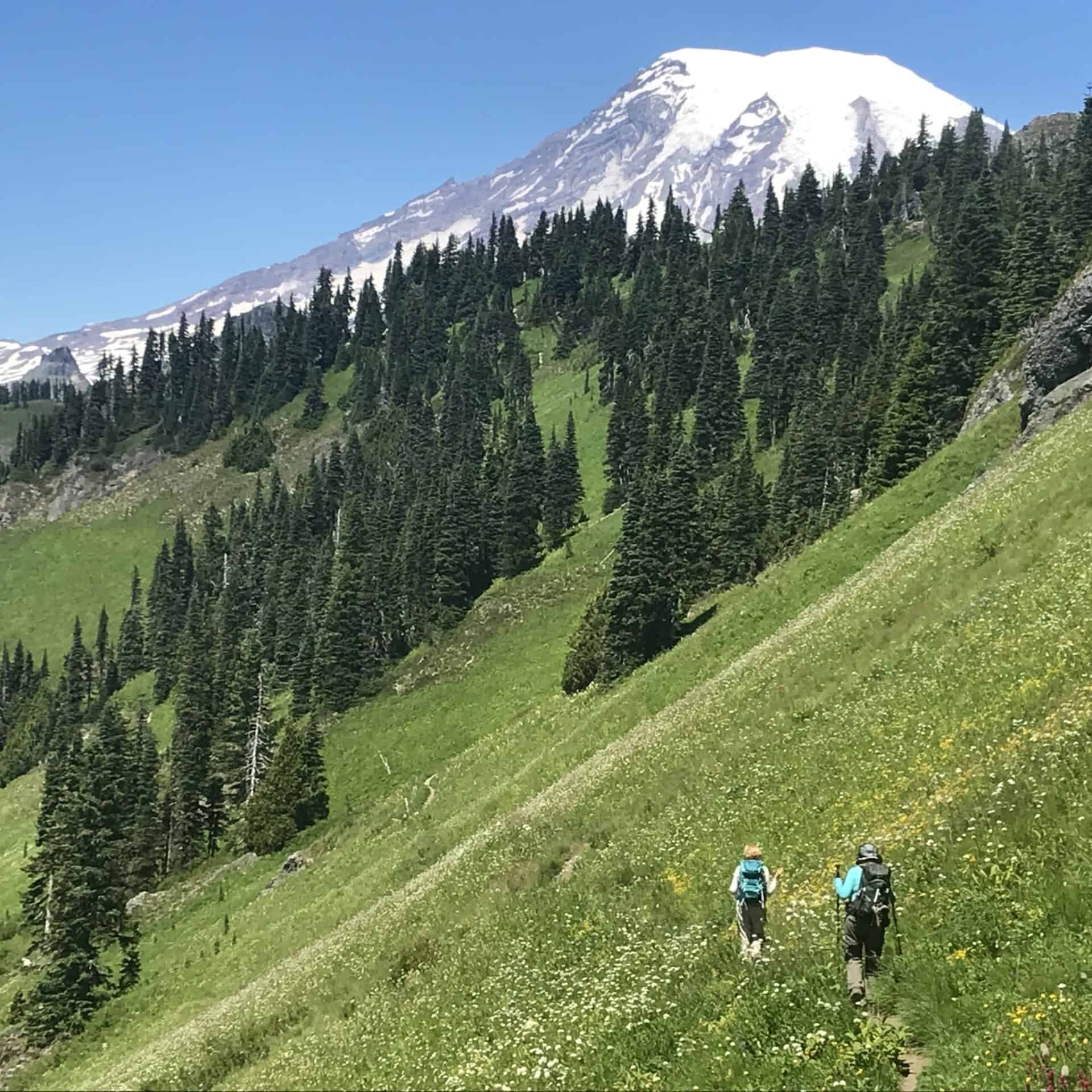 Mt Rainier - Joe Nanfara